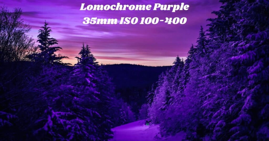 Lomochrome Purple 35mm ISO 100-400